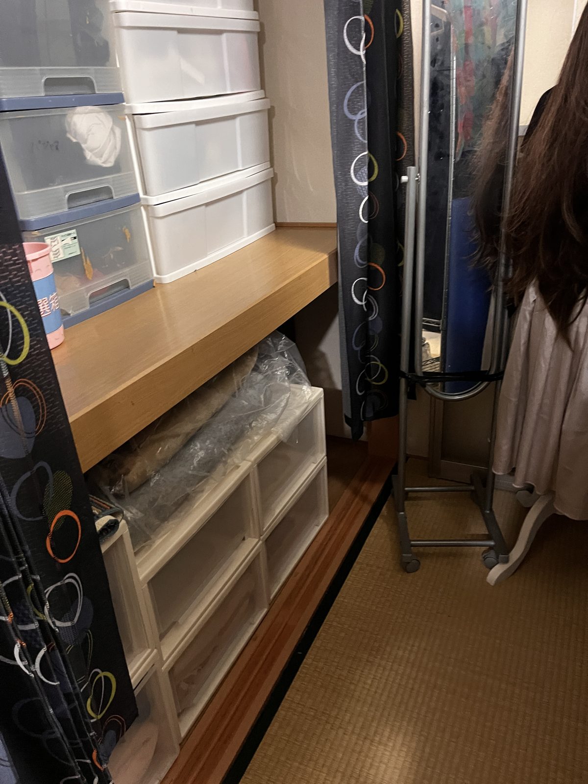 収納ケースで種類別に整えた押入れ（整理後）